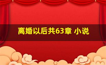 离婚以后共63章 小说